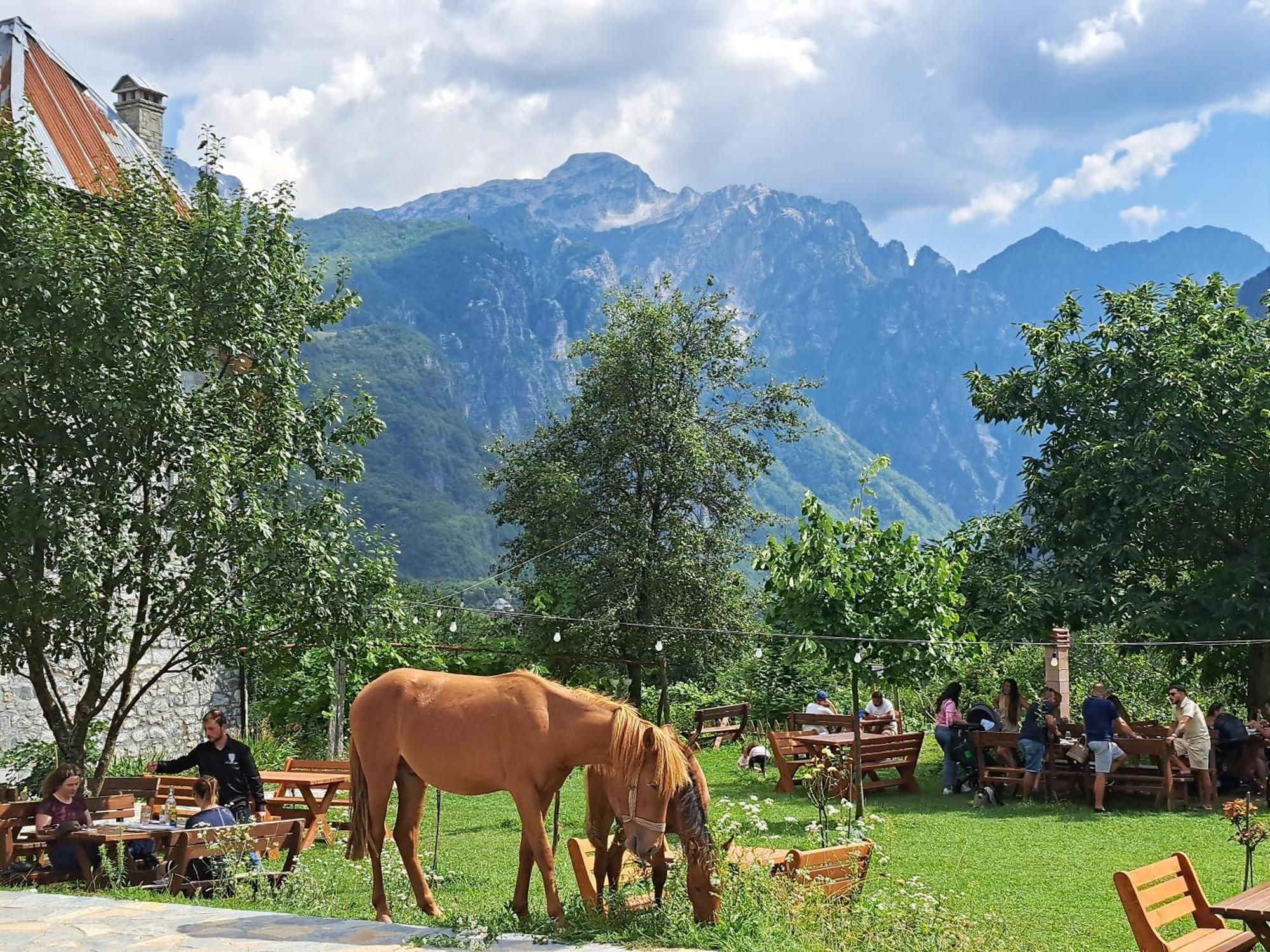 Villa Gjecaj Guesthouse And Restaurant Theth Buitenkant foto