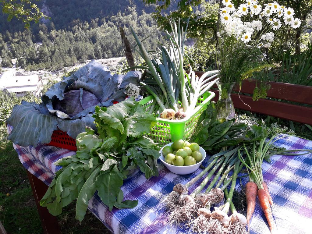 Villa Gjecaj Guesthouse And Restaurant Theth Buitenkant foto